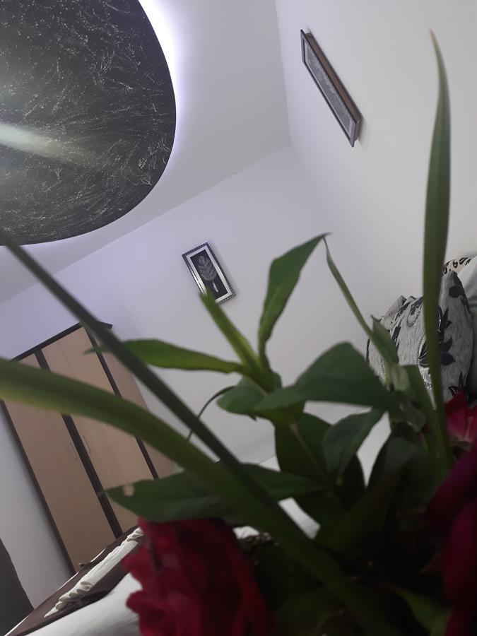 Apartments Aza دوبرا فوفا المظهر الخارجي الصورة