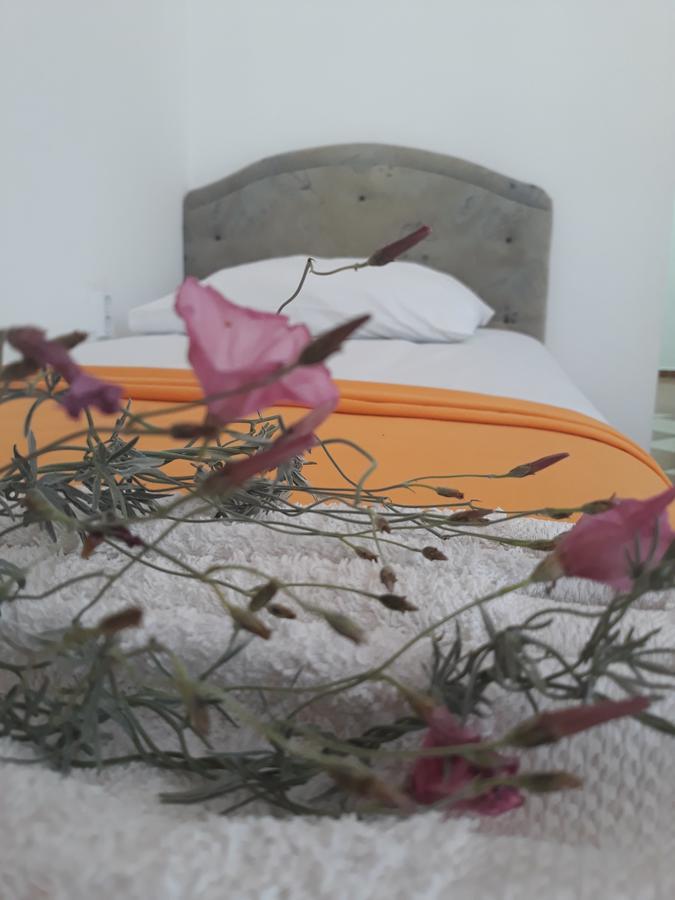 Apartments Aza دوبرا فوفا المظهر الخارجي الصورة